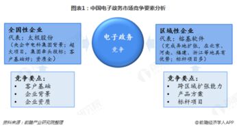 軟件外包服務 電子政務發展的雙刃劍